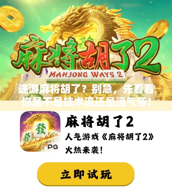途游麻将胡了?别急,先看看你是不是技术流还是运气帝! 途游麻将胡了?别急,先看看你是不是技术流还是运气帝!