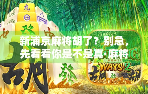 新浦京麻将胡了？别急，先看看你是不是真·麻将高手！